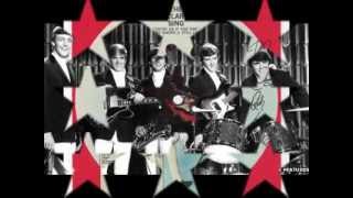 The Dave Clark Five - Everybody Knows (I Still Love You)