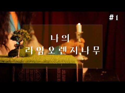 잠잘때 듣는 동화같은 이야기/나의 라임 오렌지 나무 1부/ASMR