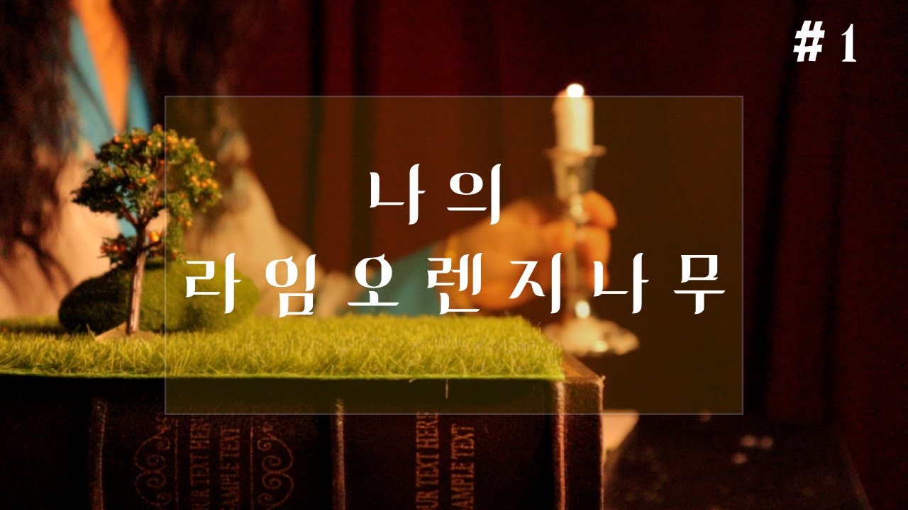 잠잘때 듣는 동화같은 이야기/나의 라임 오렌지 나무 1부/ASMR