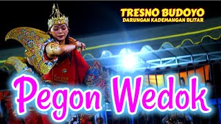 Download lagu JARANAN PEGON WANITA ~  TRESNO BUDOYO ~ DARUNGAN KADEMANGAN BLITAR 2023 mp3