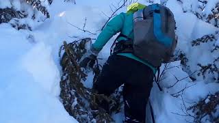 Réserve faunique des laurentides