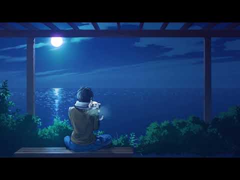 Candisoul - constellation ATMOSPHERIC PHONK CHILL NIGHT