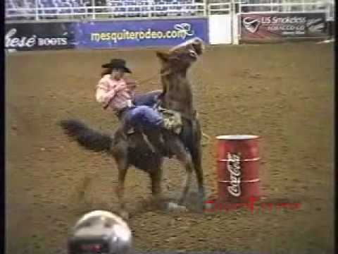 .::Horses - Awake::.  (new openning?)