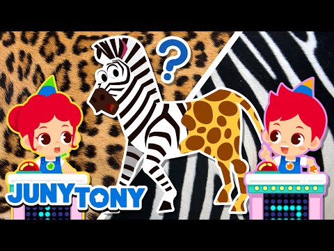 Animal Patterns Quiz Show | Guess the Animal | Learn Animals | Animal Songs | JunyTony