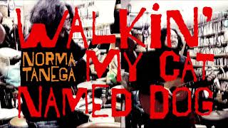 Norma Tanega &quot;Walkin&#39; My Cat Named Dog&quot; Cover Demo by Manananggals with Stylophone and tenor guitar