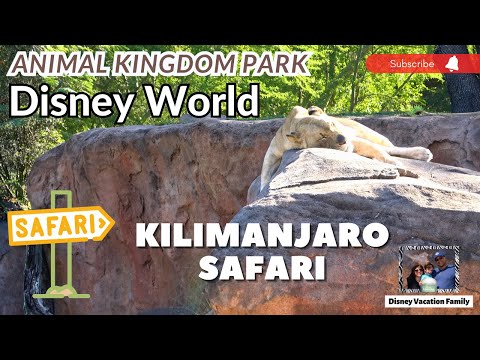 Kilimanjaro Safaris - Disney's Animal Kingdom Theme Park