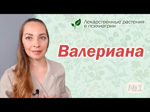 Валериана: бессонница, депрессия, навязчивости, СДВГ  l №1 Лекарственные растения в психиатрии