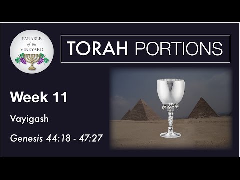 Torah Portions - Week 11 - Vayigash - Genesis 44:18 - 47:27 (2020-2021)