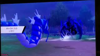 ポケモンソード(シールド)剣盾実況プレイPart6 Pokemon Sword(Shield) live game broadcast play 任天堂スイッチ Nintendo Switch
