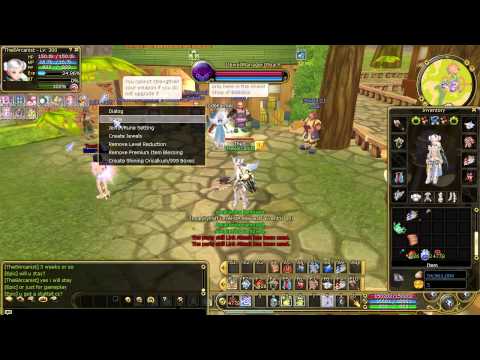 Insanity Flyff E45 - Awakening Arcanist Equipment