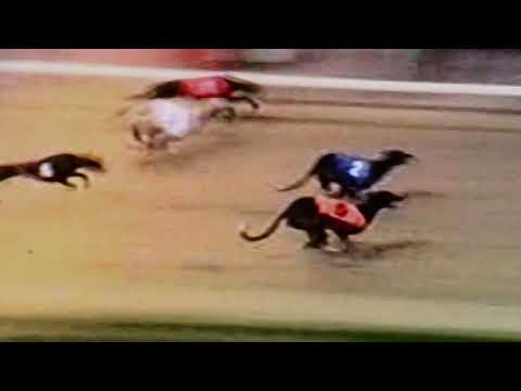 DROOPYS LIVE