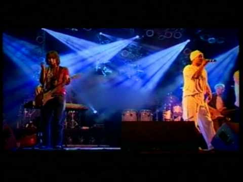 Back ll Black - Várj