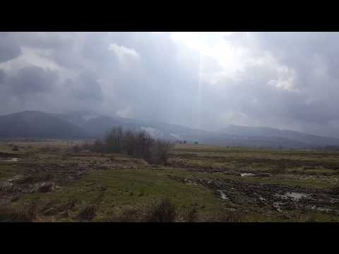 Emerald Country House - Recea / Brasov