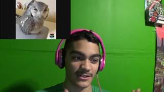 Reaction Try Not To Laugh reddit2