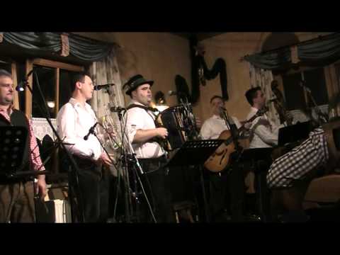 2014 01 03 Musikantenstammtisch   Munda Untersteirer  222639