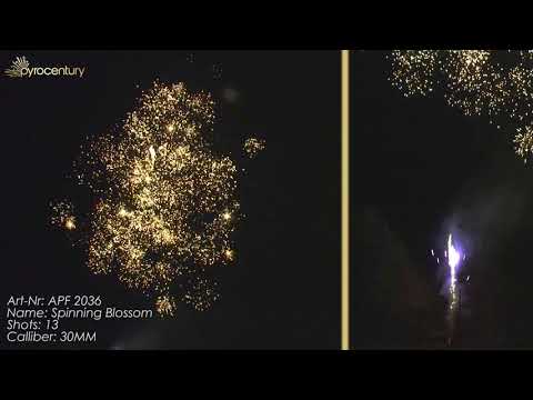 APF 2036 - 13SH SPINNING BLOSSOM - CE CATEGORY F2