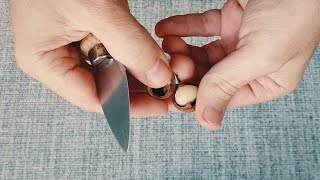 SECRET TECHNIQUE to open Macadamia nuts!