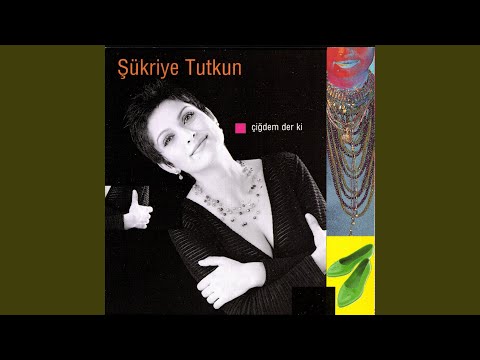 Atmacayı Vurdular