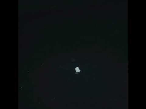 YouTube 썸네일