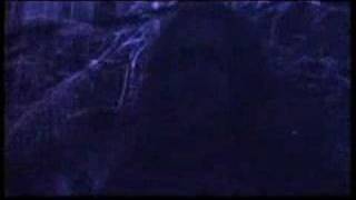 Helheim - Jernskogen