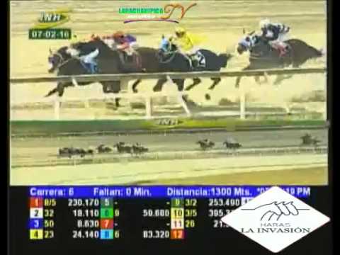 LA RINCONADA 6 CARRERA, DOMINGO 07 DE FEBRERO DEL 2016