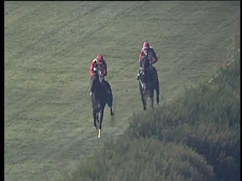 Galoppo 17/08/2019 - 6ª corsa