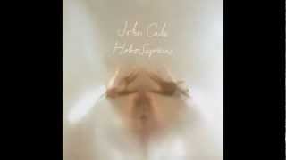 John Cale - Things