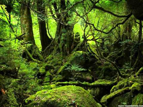 Traskel ۞ Henbane Hangover