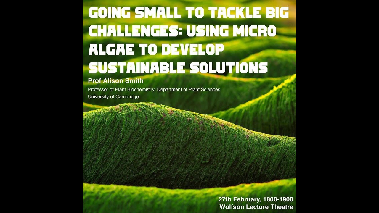 Using microalgae to develop sustainable solutions | 27 Feb 2023 | Prof Alison Smith