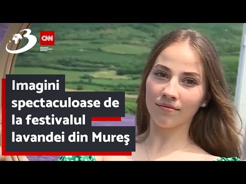 Imagini spectaculoase de la festivalul lavandei din Mureş | Ce surprize au pregătit organizatorii pe