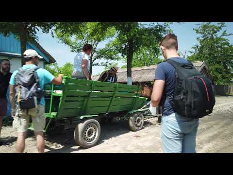 Explore Letea Forest from danube Delta Romania !