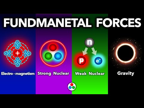 The 4 Forces Explained | Electro-magnetism, Strong, Weak and Gravity