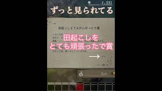 ずっと見られてる#ほの暮らしの庭#ゲーム実況