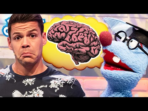 Wie funktioniert das Gehirn? l WOOZLE GOOZLE