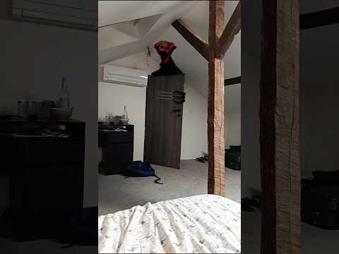 the boiled one is here...#shorts #creepy #horror #analoghorror #theboiledone