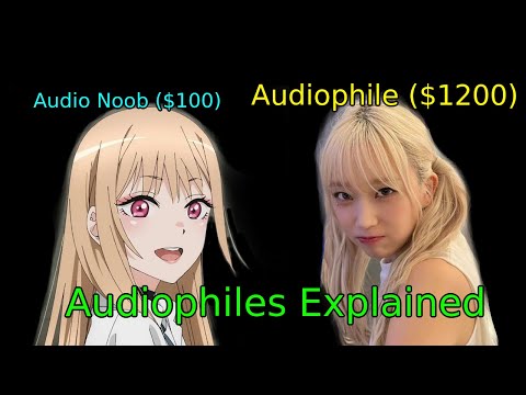 Audiophiles explained for casual headphone users