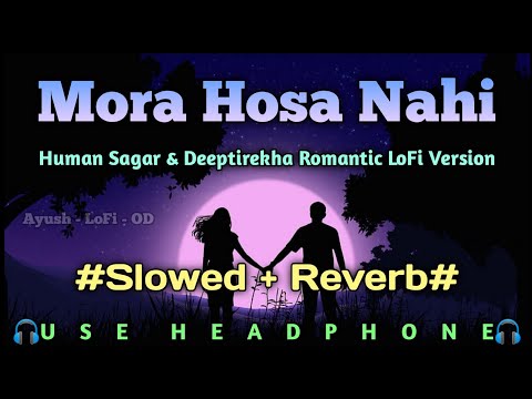 Mora Hosa Nahi - Slowed + Reverb - Human Sagar & Deeptirekha - Odia Romantic LoFi Song