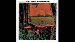 The Neville Brothers - The Ten Commandments Of Love