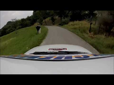 Matteo Brunello - Alberto Rossato Rally Schio 2017