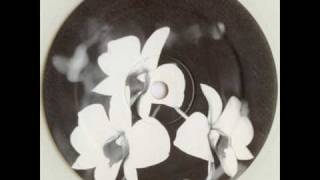 Ovatow - Phalaenopsis - Dub II