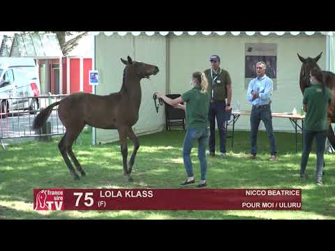 Sprinter Sacré Show 2021 : Lot 75 - Lola Klass