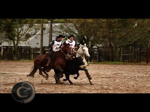 2017 Golden Brake Qualifier - Santa Maria/RS