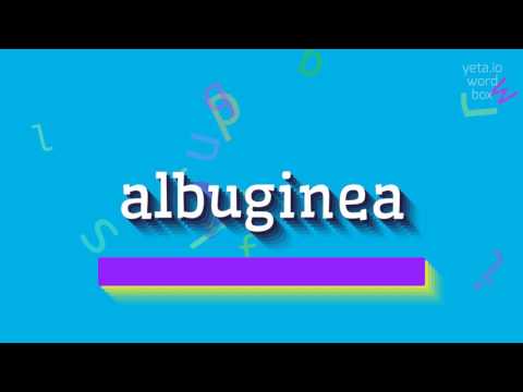 How to say "albuginea"! (High Quality Voices)