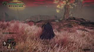 【ELDEN RING】初見エルデン楽しみます【エルデン リング】#19