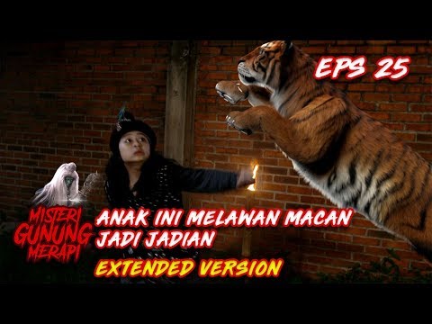 Anak Hebat Ini Diserang Macan Jadi Jadian Part 2 - Misteri Gunung Merapi Eps 25
