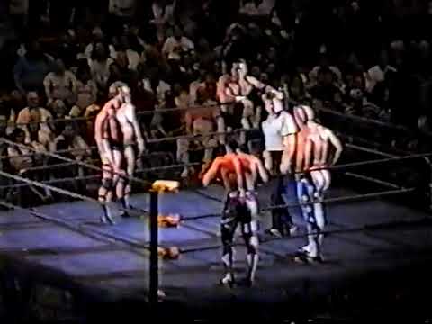 Pretty Wonderful (Paul Orndorff Paul Roma) vs. Stars and Stripes - House Show - 10/16/1994 - WCW