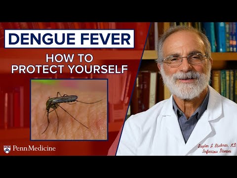 Dengue Fever and Mosquitos: How to Protect Yourself