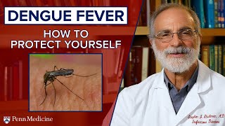 Dengue Fever and Mosquitos: How to Protect Yourself