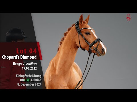 Kleinpferdekörung Lot 04 Chopard´s Diamond Hengst v. Cosmopolitan D NRW - D Day AT