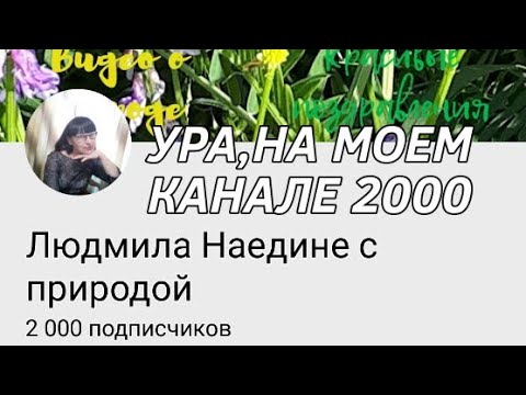 💥💥💥Ура,на моем канале 2000!!!💥💥💥